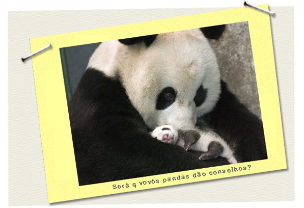 panda