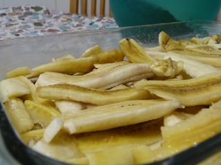 P1060071